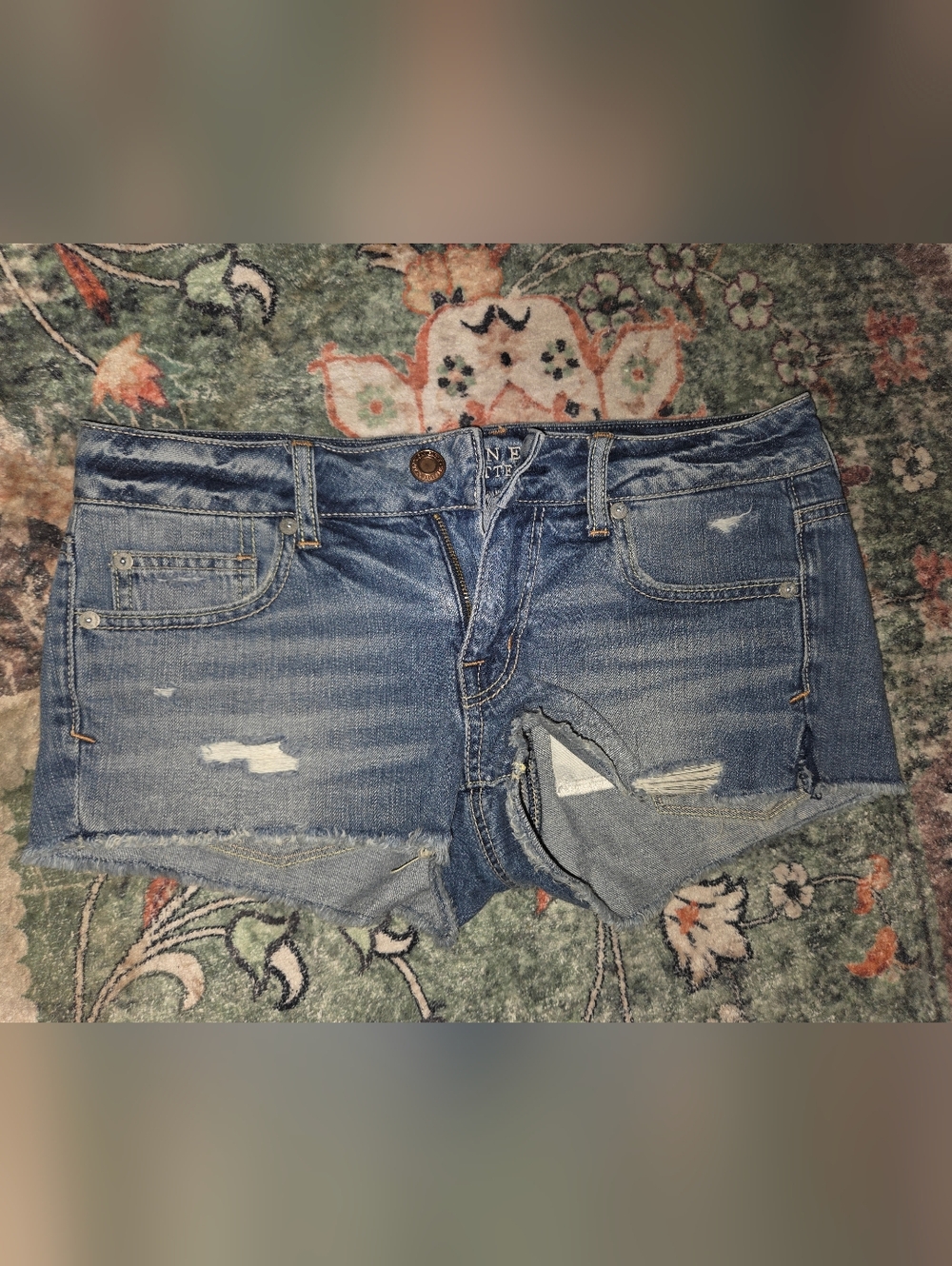 American Eagle Outfitters Light Blue Denim Shorts with Embroidered Waistband